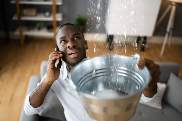 Best Basement water damage restoration  in Diboll, TX