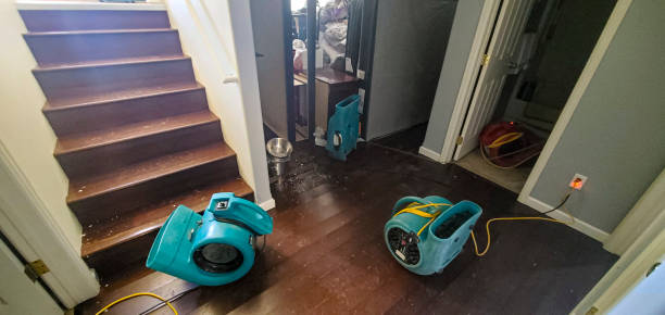  Diboll, TX Water damage restoration Pros