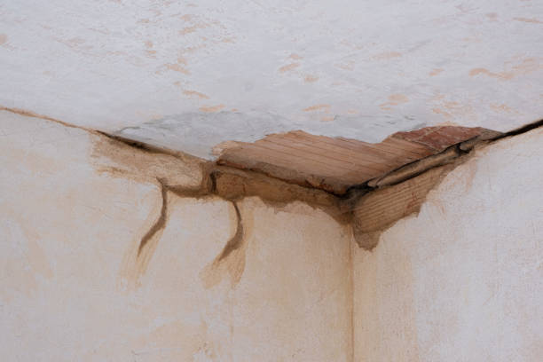 Best Flood damage cleanup  in Diboll, TX