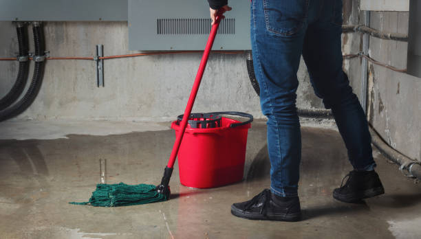 Best Flood restoration services  in Diboll, TX