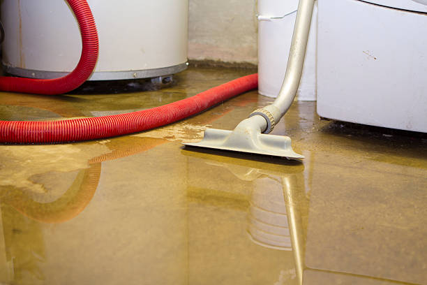 Best Commercial water damage restoration  in Diboll, TX