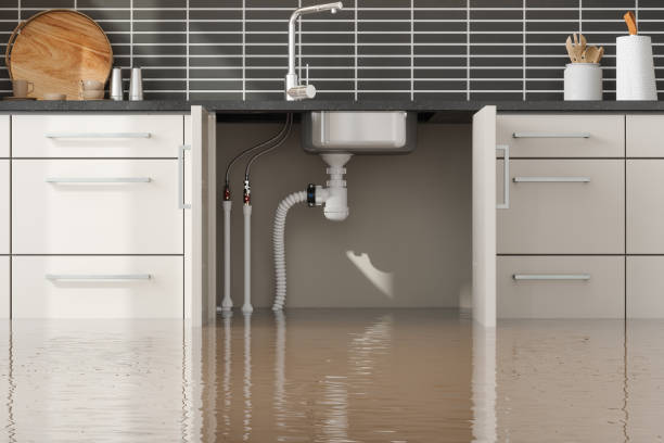 Best Sewage cleanup and water damage restoration  in Diboll, TX