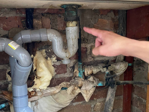 Best Water damage restoration mold remediation  in Diboll, TX